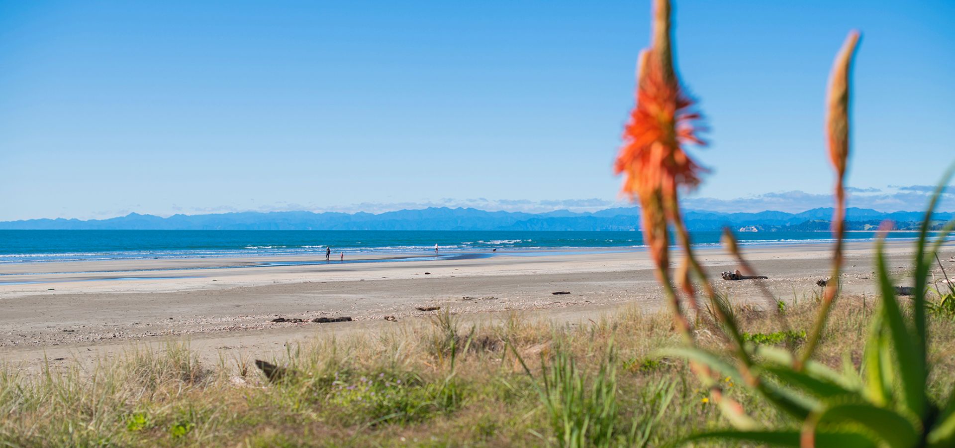 Ohope Beach accommodation